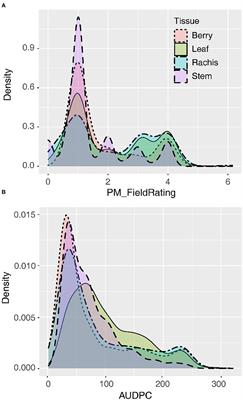 Discovery of the REN11 Locus From Vitis aestivalis for Stable Resistance to Grapevine Powdery Mildew in a Family Segregating for Several Unstable and Tissue-Specific Quantitative Resistance Loci